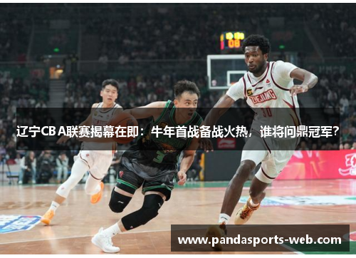 辽宁CBA联赛揭幕在即：牛年首战备战火热，谁将问鼎冠军？