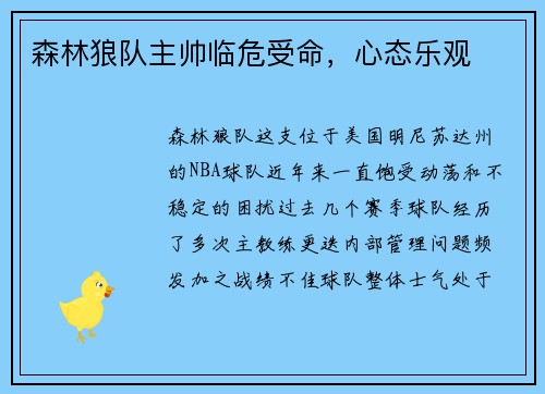 森林狼队主帅临危受命，心态乐观